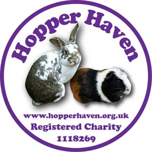 Hopper Haven