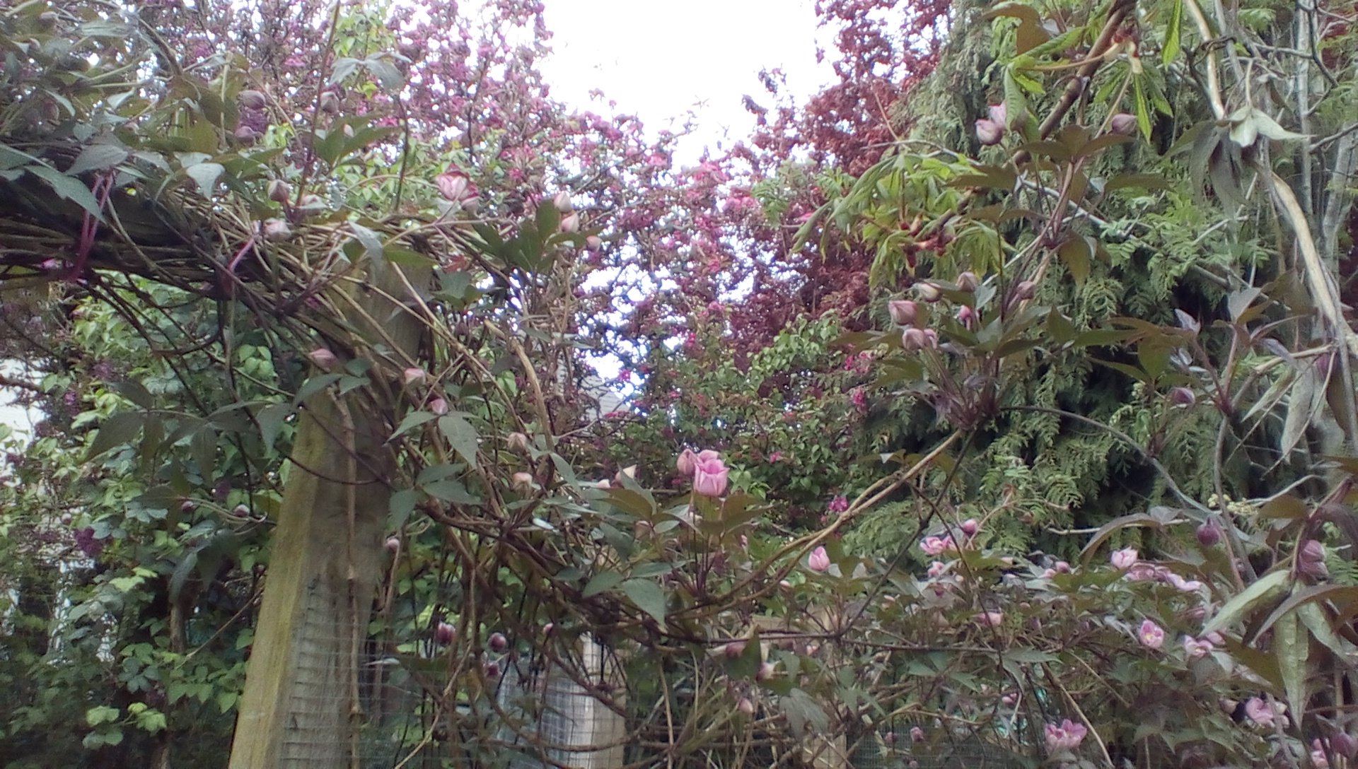 Tag: <span>Petal</span>