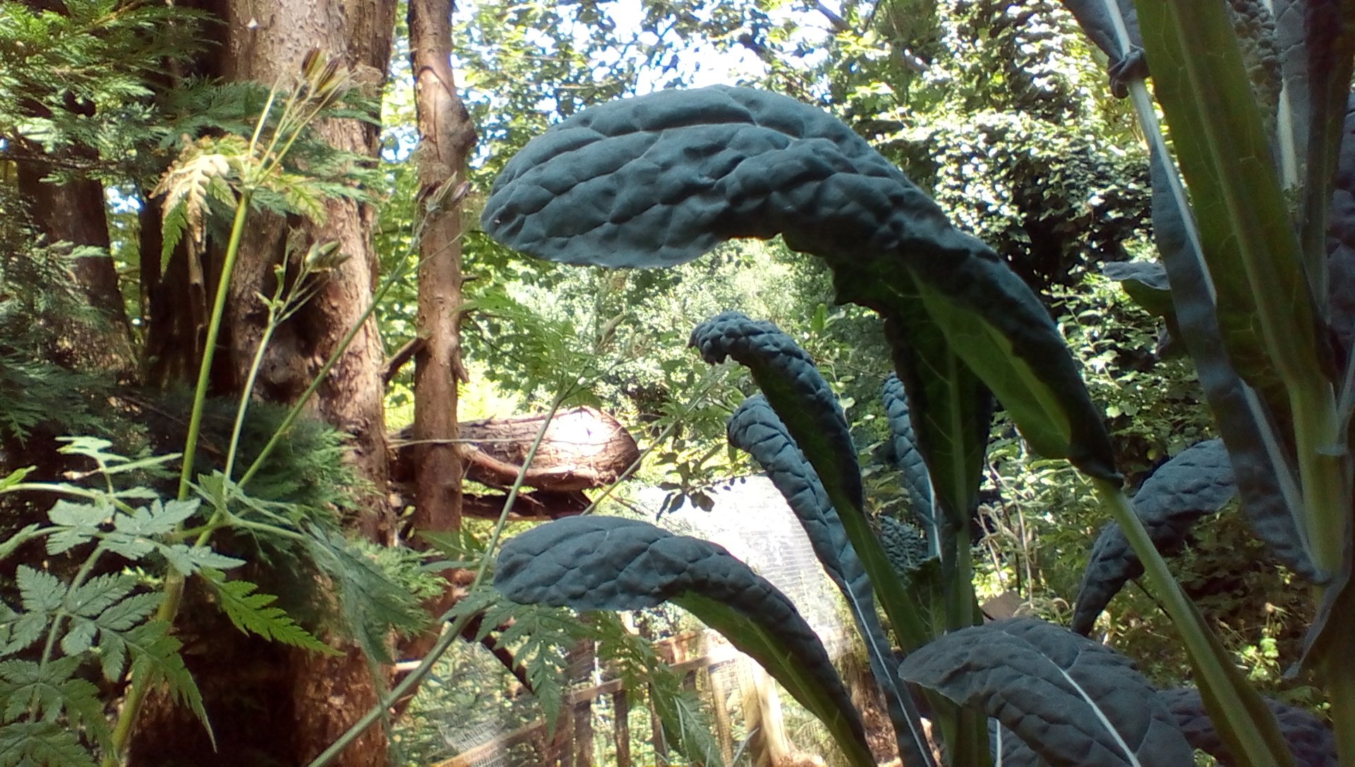 Tag: <span>Nutbrown</span>
