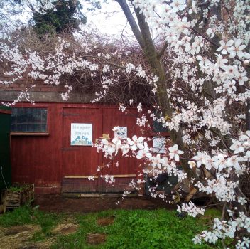 Sanctuary Closed during Epidemic